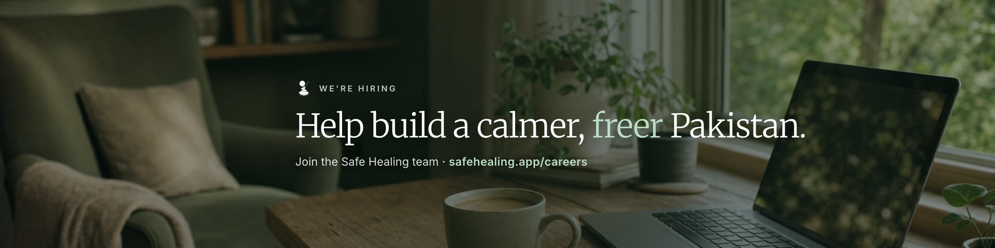 LinkedIn banner: Help build a calmer, freer Pakistan